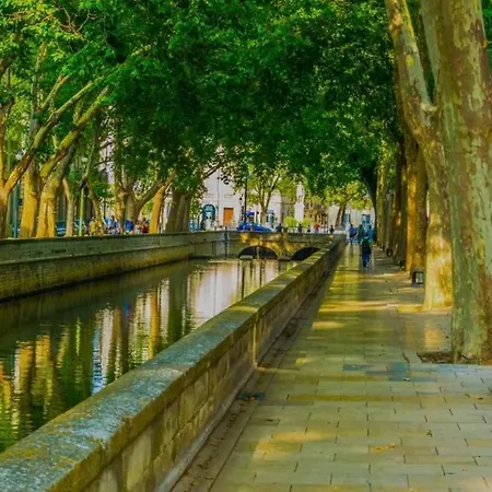 Apartment Le Nid Douillet Nimes